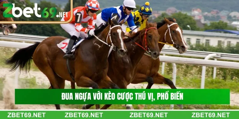 Kèo cược thú vị, phổ biến và được đánh giá cao Kèo cược thú vị, phổ biến và được đánh giá cao