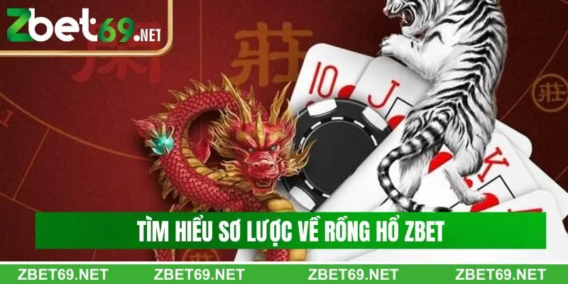 Tìm hiểu sơ lược về rồng hổ Zbet Tìm hiểu sơ lược về rồng hổ Zbet
