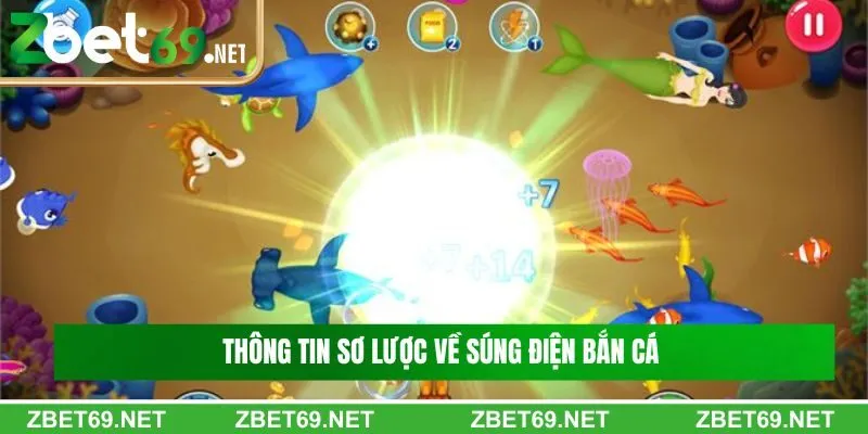 Thông tin sơ lược về súng điện bắn cá 